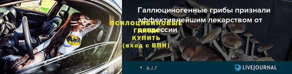 сатива Заволжье
