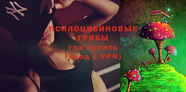 сатива Заволжье