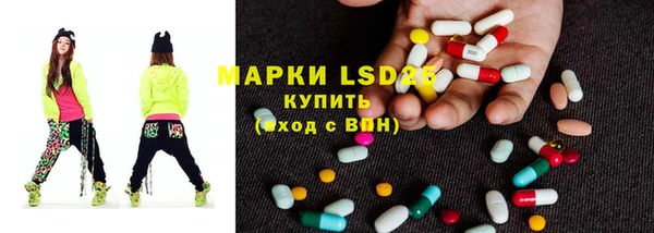 сатива Заволжье