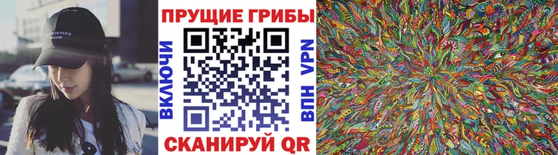 Купить закладки  Славгород  Псилоцибиновые грибы GOLDEN TEACHER 